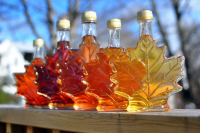 Maple syrup substitute ideas - Graphic Recipes image