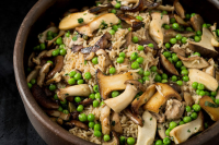 Baked Rice With Chicken and Mushrooms Recipe - NYT Cooking image