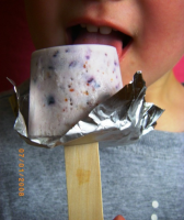 BLUEBERRY POPSICLES RECIPES