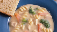 CREAMY CHICKEN AND VEGETABLE SOUP RECIPES
