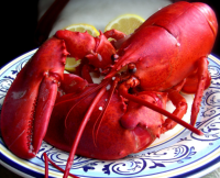 How to Steam a Lobster Recipe - Food.com image