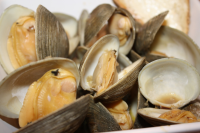 Steamed Clams or Mussels - Recipes, Food Ideas And Videos image