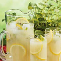 ICE BLUE MINT COOLERS RECIPES