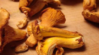 Sauteed Chanterelle Mushrooms Garlic ... - No Recipe Required image