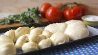 HOW TO MAKE MOZZARELLA CHEESE FROM SCRATCH RECIPES