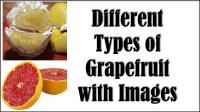 5 Different Types of Grapefruit with Images - Asian Recipe image