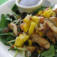 Chicken Mango Salsa Salad with Chipotle Lime Vinaigrette ... image