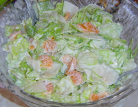 Lettuce and Fruit Salad Recipe - Food.com image