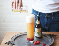 MIXED DRINKS WITH BEER RECIPES