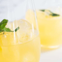 Quick and Easy Mango Margarita Recipe — The Discoveries Of image