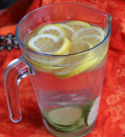 Luscious Lemon and Lime Water Recipe - Food.com image