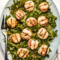RECIPE FOR GRILLED SCALLOPS RECIPES