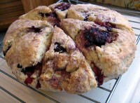 Blueberry Oat Scones Recipe - Food.com image