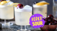 Vodka Sour Recipe | Absolut Drinks image