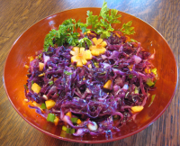 Red Cabbage Coleslaw Recipe - Food.com image