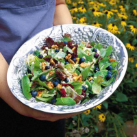 Berry Delicious Summer Salad Recipe | MyRecipes image