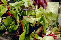 SIMPLE GREEN SALAD WITH VINAIGRETTE RECIPES