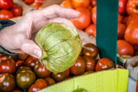 WHAT CAN YOU DO WITH TOMATILLOS RECIPES