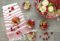 Cranberry Champagne Punch - Mealthy.com image