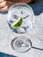 HOW MANY CALORIES IN GIN RECIPES