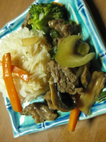 HOW TO MAKE STIR FRY BEEF WITH VEGETABLES RECIPES