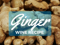 Fiery Medium Ginger Wine Recipe - Home Brew Answers image