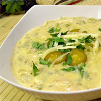 Patricia's Green Chile Soup Recipe | Allrecipes image