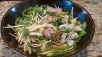 Thai Beef Noodle Soup - Gwaytio Nuea Nam Recipe - Food.com image