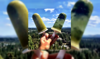 Green Juice Ice Pops Recipe by Christian Kogler image