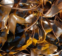 kelp seaweed crisps | BBC Good Food image