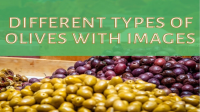 28 Different Types Of Olives With Images - Asian Recipe image