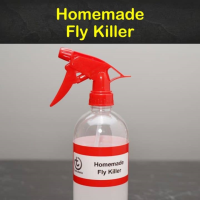 HOUSEHOLD FLY REMEDIES RECIPES