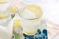 Classic Gin Fizz Cocktail Recipe - Inspired Taste image