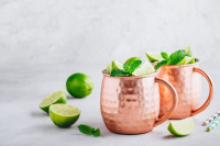BEST JUICE TO MIX WITH TEQUILA RECIPES