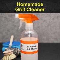 7 Easy DIY Grill Cleaner Recipes - Tips Bulletin image