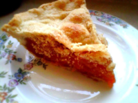 Dried Apricot Pie | Just A Pinch Recipes image