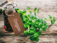 How to Make Oil of Oregano at Home | Organic Facts image