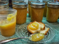 Paw Paw Butter - Canning - SBCanning.com - homemade ... image