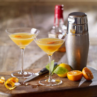Tangerine Bourbon Sidecars Recipe | EatingWell image