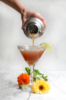 Herb-Infused Summer Cocktails and Mocktails image