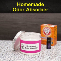 4 Easy-to-Make DIY Odor Absorber Recipes image