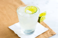 Best Gin and Tonic Recipe - Inspired Taste image