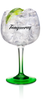 Tanqueray London Dry Gin & Tonic image