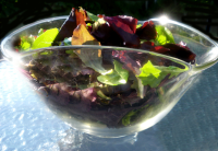 Basic Salad Mix (Salad Spinner) Recipe - Food.com image