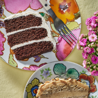 Vegan Dark Chocolate Cake Recipe | EatingWell image