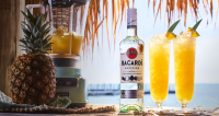 Pina Colada Recipe - Bacardi Rum Cocktails & Drinks image