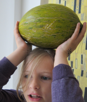 Charentais Melon sorbet – ICE CREAM NATION image