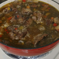 BEEF OXTAIL SOUP RECIPE RECIPES