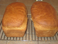 Spelt Bread Recipe - Food.com image