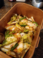Mrs. Plant’s Vegan Kimchi Recipe – mrsplantintexas image